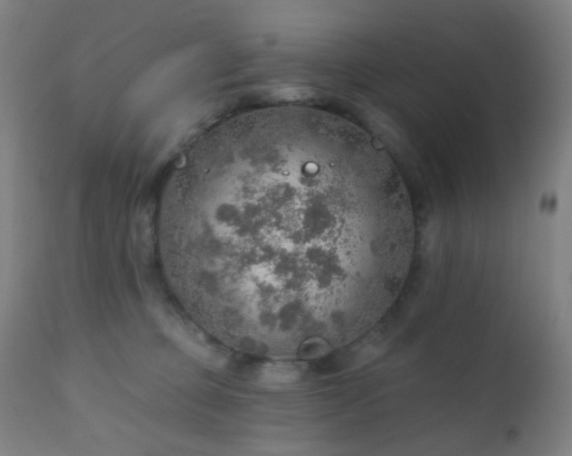 X0000110980373200906191409