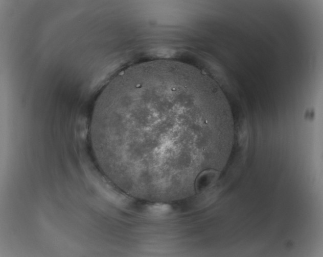 X0000110980374200906191409