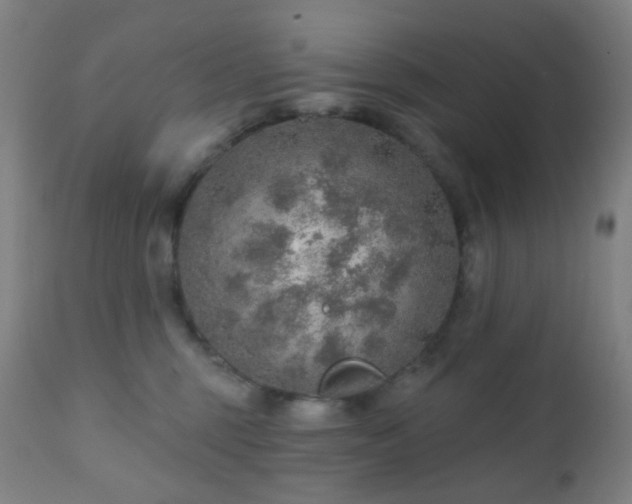 X0000110980375200906191409