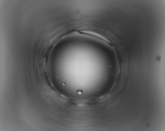 X0000110980376200906191409