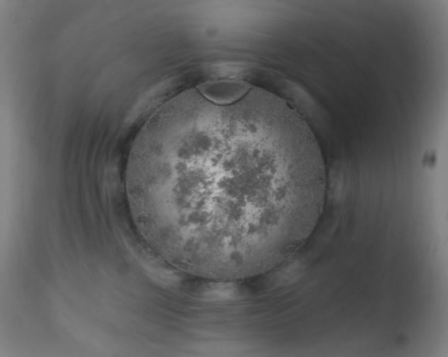 X0000110980377200906191409