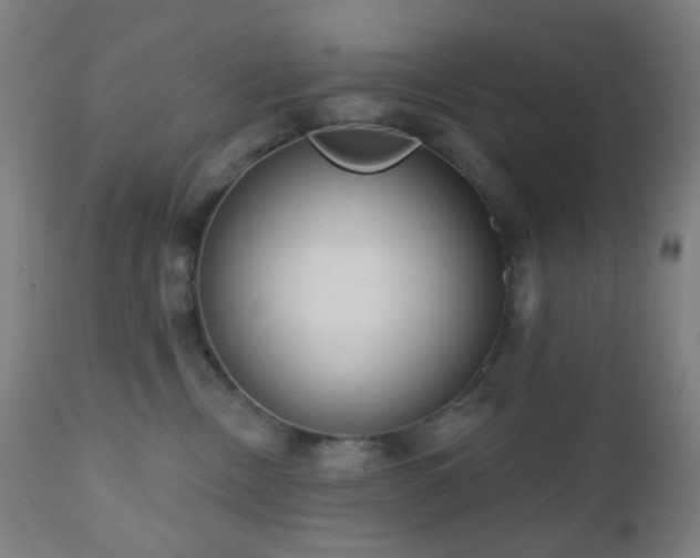 X0000110980378200906191409