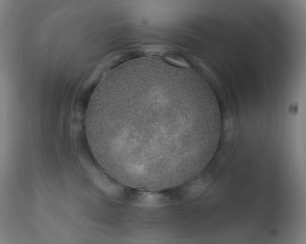 X0000110980379200906191409