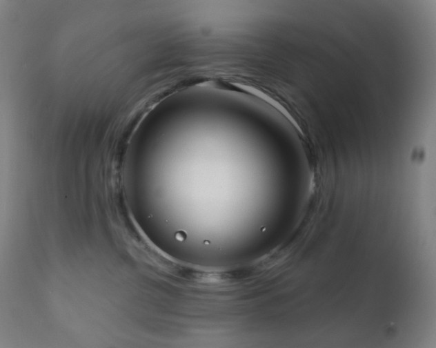 X0000110980380200906191410