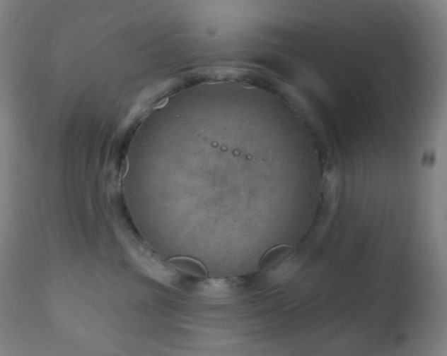 X0000110980381200906191410