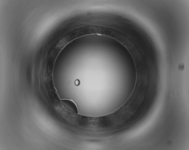 X0000110980382200906191410