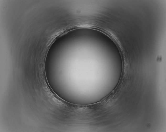 X0000110980385200906191409