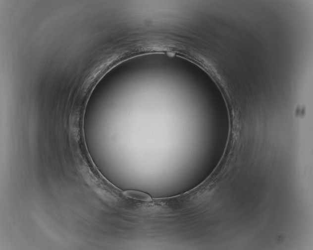 X0000110980386200906191409