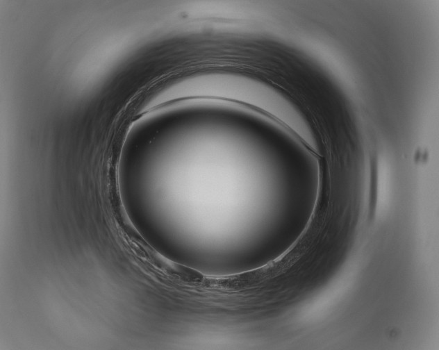 X0000110980387200906191409