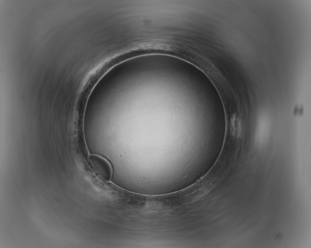 X0000110980388200906191409