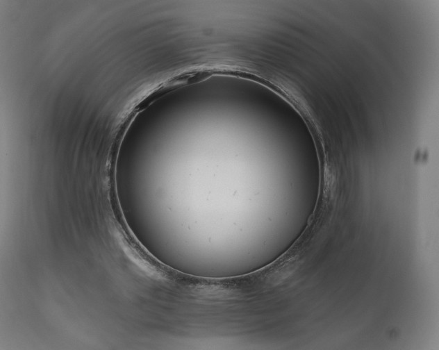 X0000110980389200906191409