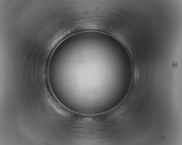 X0000110980390200906191409