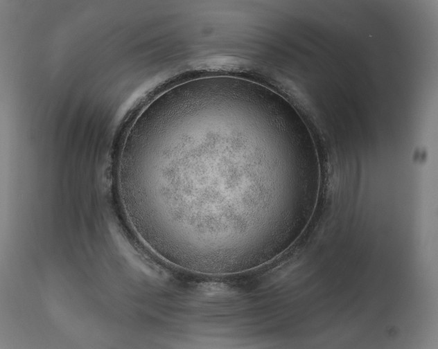 X0000110980392200906191409