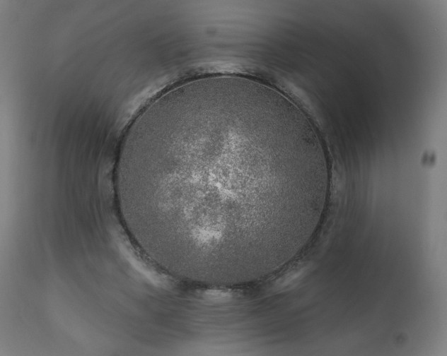 X0000110980394200906191409