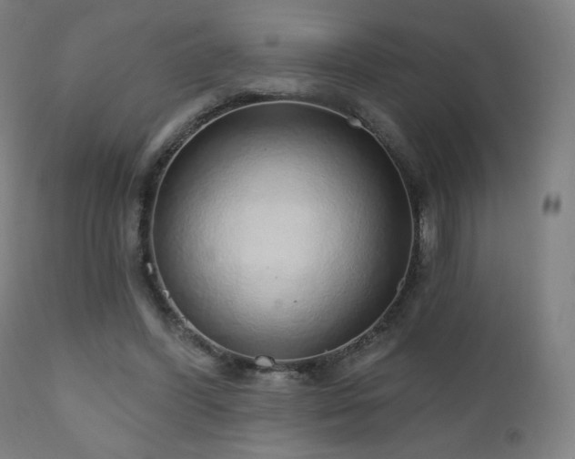 X0000110980396200906191409