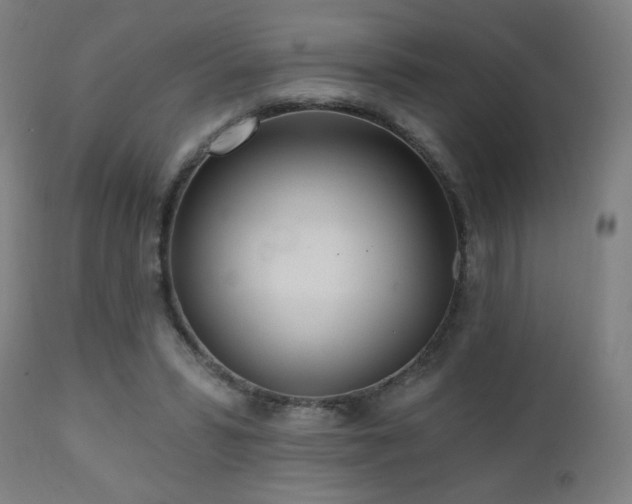 X0000110980399200906191409