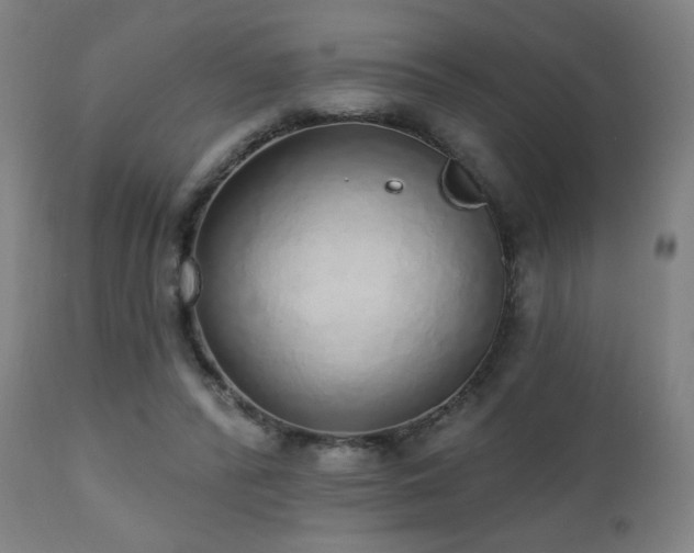 X0000110980400200906191409