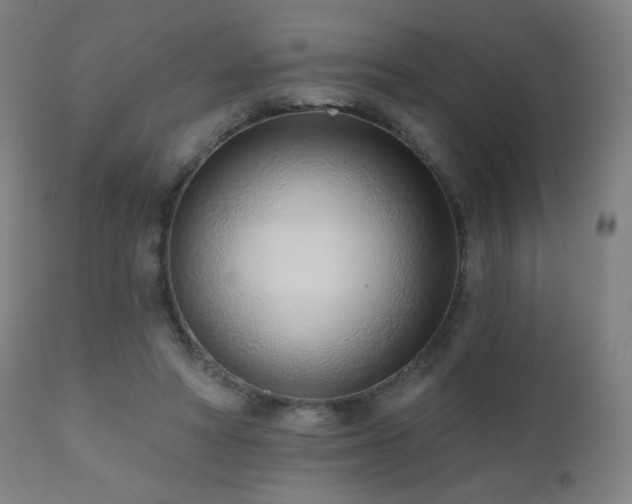 X0000110980402200906191408