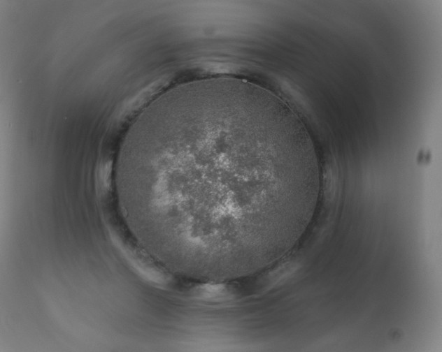 X0000110980406200906191408