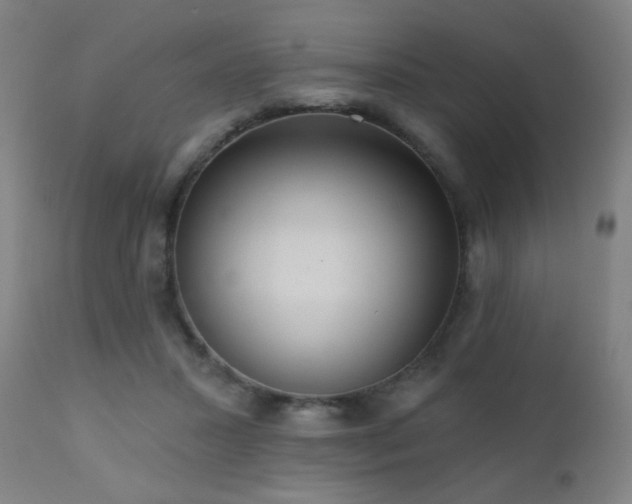 X0000110980407200906191408