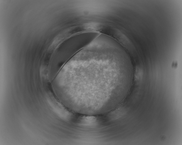 X0000110980409200906191408