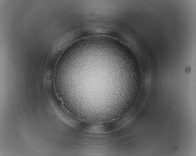 X0000110980410200906191408