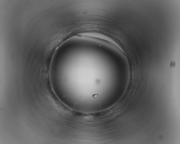 X0000110980411200906191408