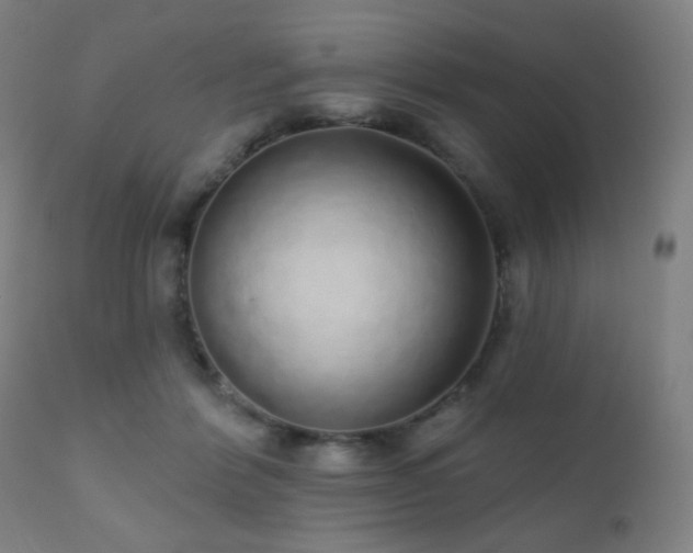 X0000110980412200906191408