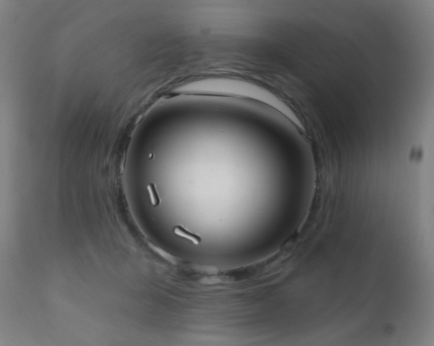 X0000110980415200906191408