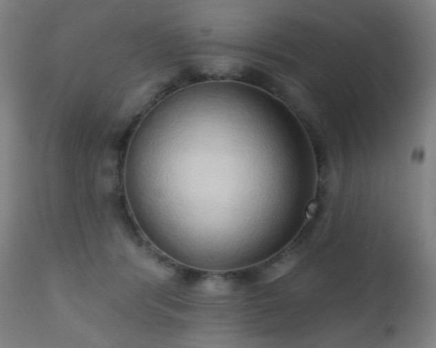 X0000110980416200906191408