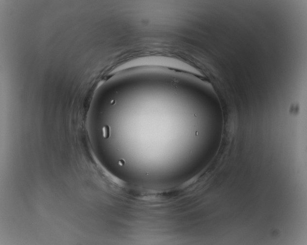 X0000110980417200906191408