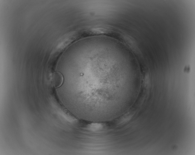 X0000110980418200906191408