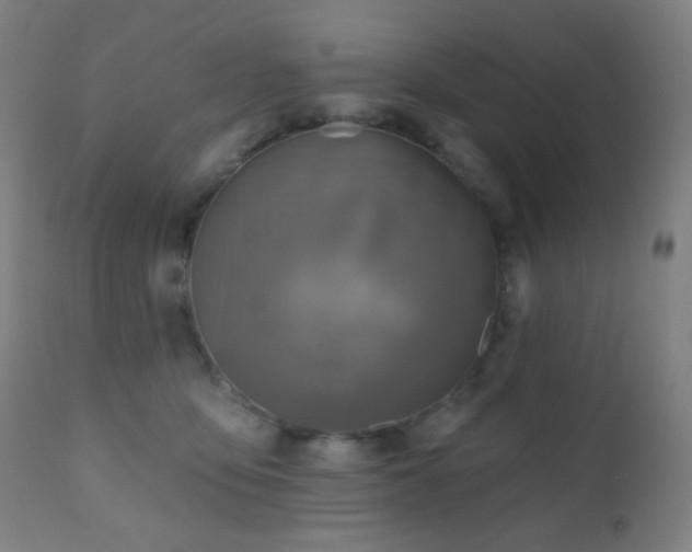 X0000110980419200906191408