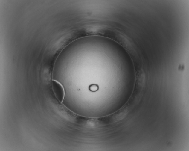 X0000110980420200906191408