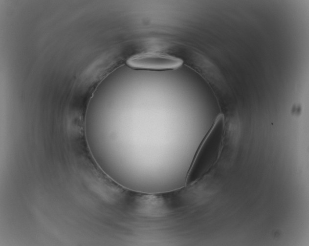 X0000110980421200906191408