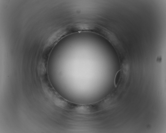 X0000110980422200906191408