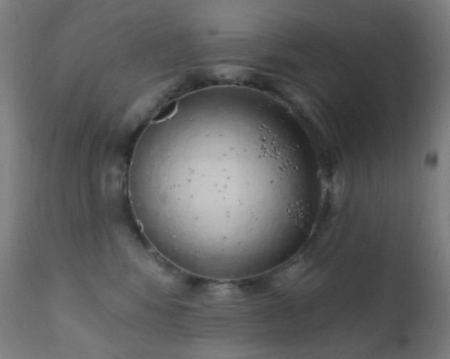 X0000110980424200906191408