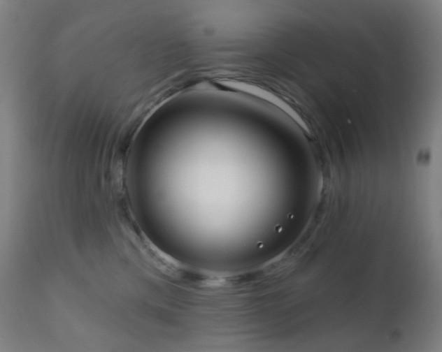 X0000110980425200906191408