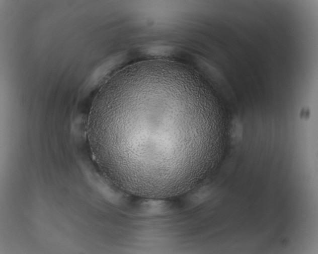 X0000110980428200906191408