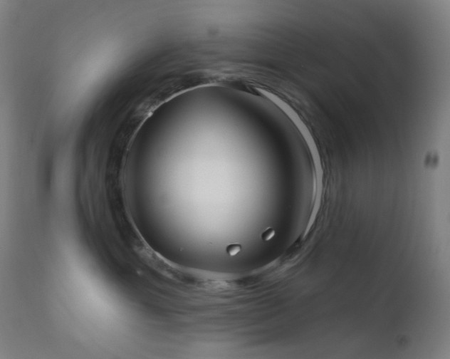 X0000110980429200906191408