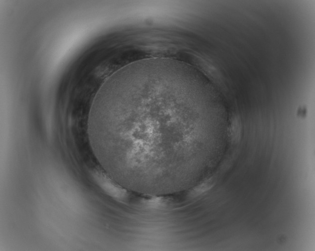 X0000110980430200906191408