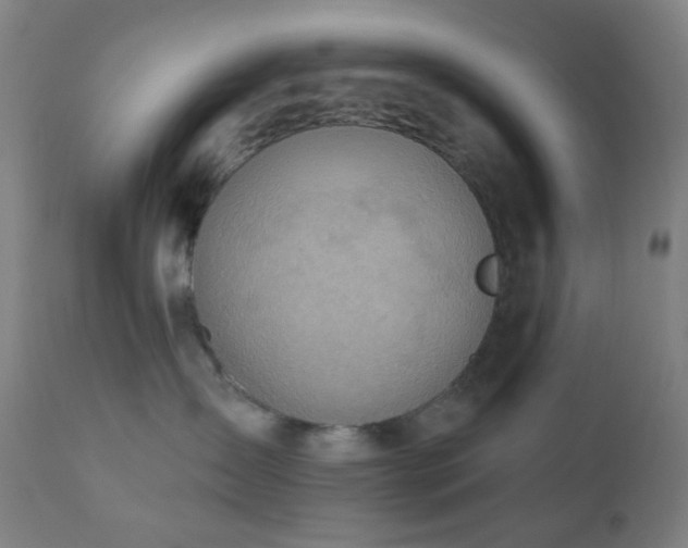 X0000110980431200906191408