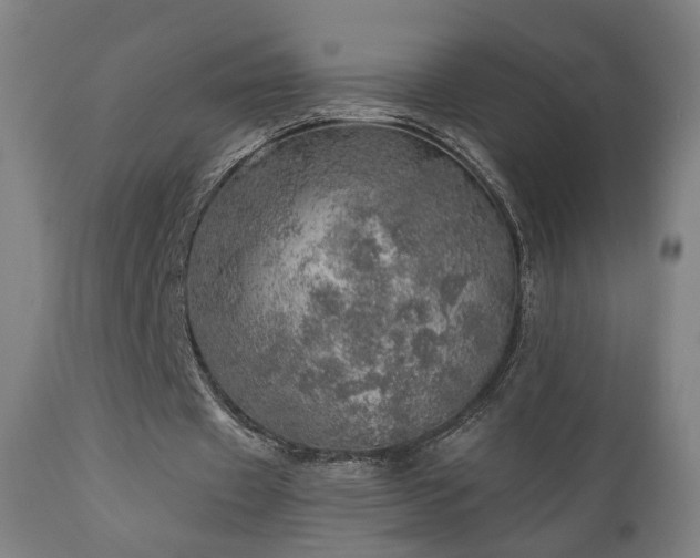 X0000110980433200906191407