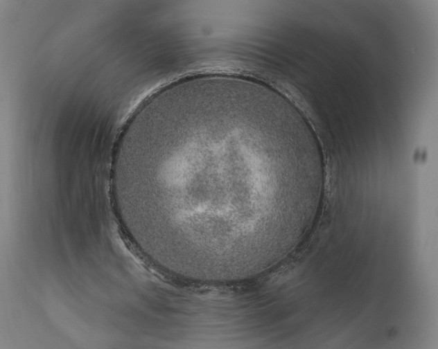 X0000110980434200906191407