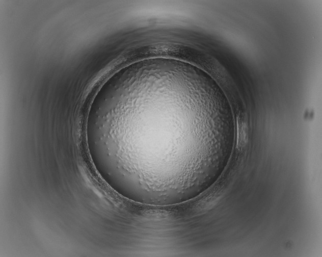 X0000110980435200906191407