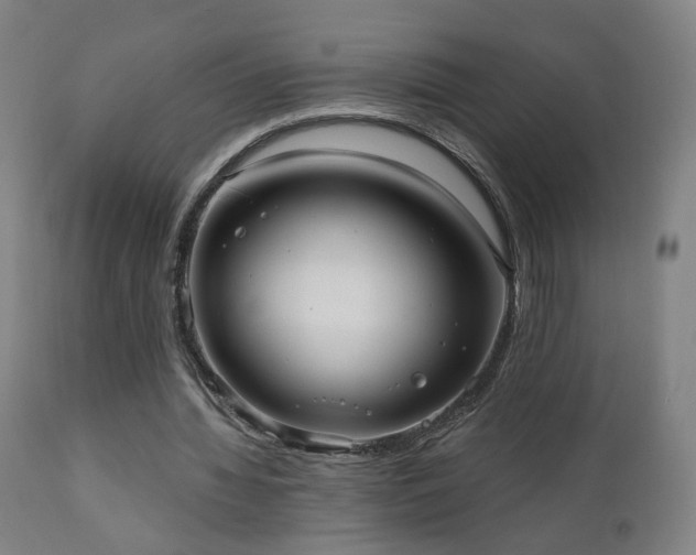 X0000110980436200906191407