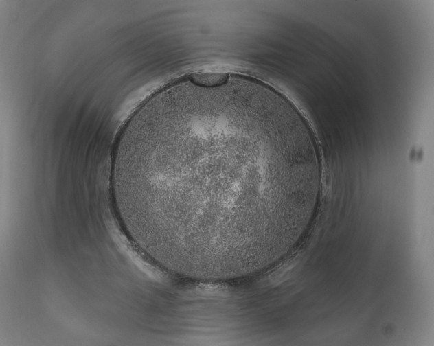 X0000110980437200906191407