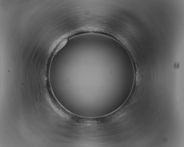 X0000110980438200906191407