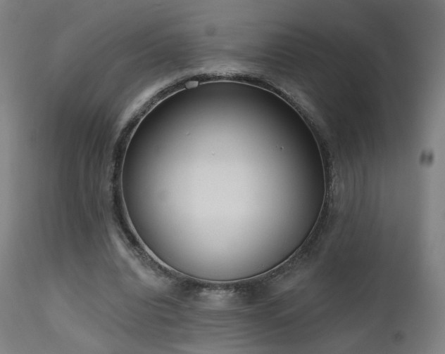 X0000110980440200906191407