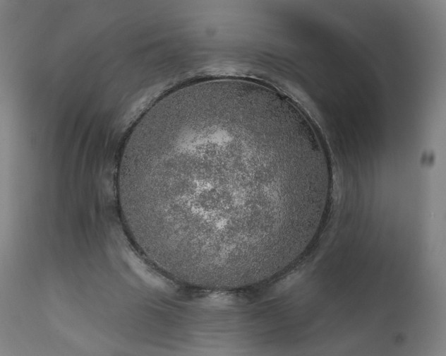 X0000110980441200906191407